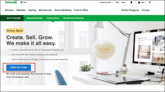 godaddy online store tcvei